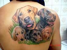 Imagens do Ratinho Tattoo Studio, bairro Campo Limpo